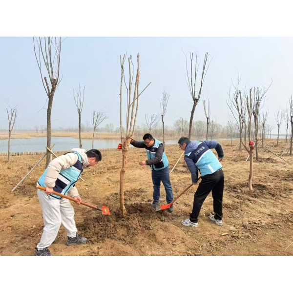 江苏海建航务分公司开展“全民义务植树共筑生态安全屏障”活动